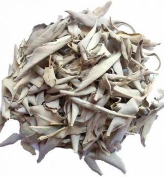 Salvia Blanca